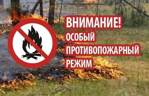 В июне 2022 года в ряде  населенных пунктов на территории Республики  Марий Эл введён особый противопожарный режим