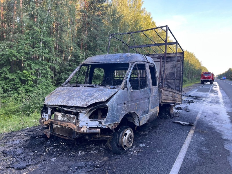 В Медведевском районе огнем уничтожено транспортное средство