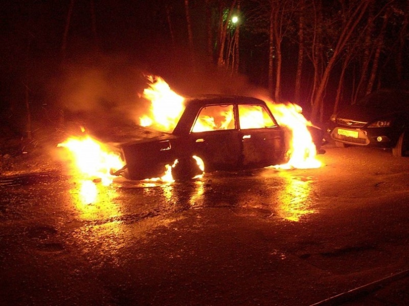 Пожар в Медведевском районе