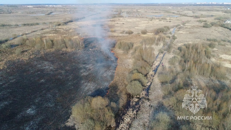 В Медведевском районе пожарные отстояли от огня садовые дома