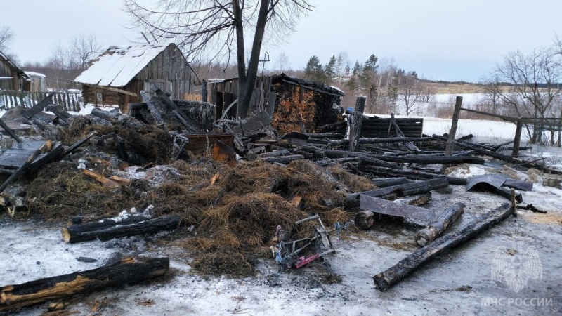 В Горномарийском районе на пожаре погиб домашний скот