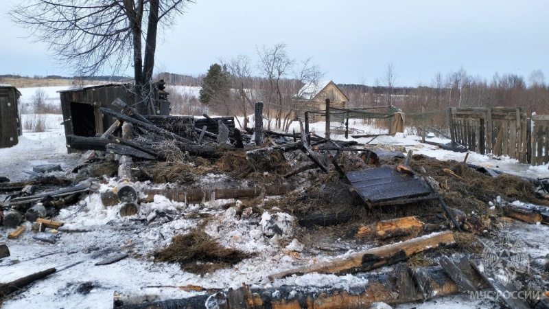 В Горномарийском районе на пожаре погиб домашний скот