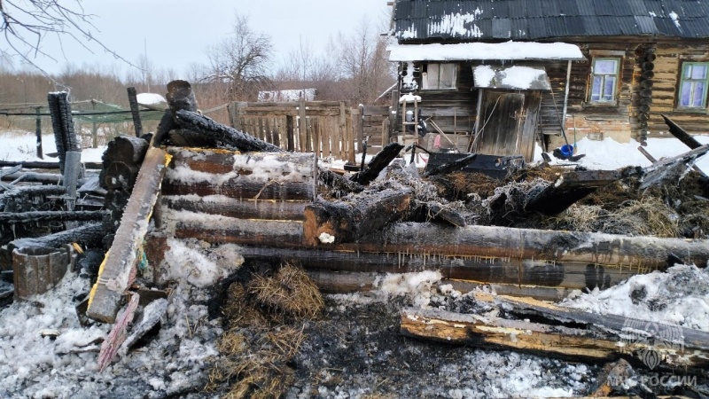 В Горномарийском районе на пожаре погиб домашний скот