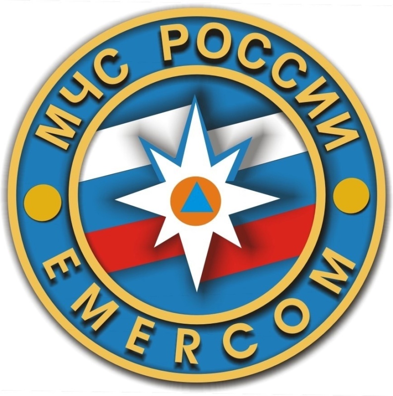 Диктант Победы для сотрудников Главнoгo управления МЧС России по Республике Марий Эл