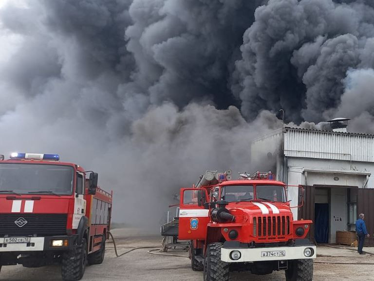 Пожар в Новоторъяльском районе