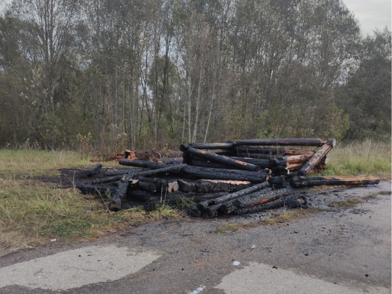 Пожар в Оршанском районе